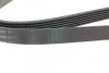 Ремень поликлиновой (Пр-во ContiTech) Contitech 6PK1590 (фото 3)