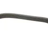Комплект ременя генератора BMW 3 (E90/F30/F80)/5 (F10)/X5 (F15/F85)/X6 (F16/F86) N47/N57 07-19 UA63 Contitech 6PK1698K1 (фото 3)