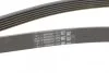Ремінь полікліновий (Вир-во ContiTech) Contitech 6PK1743 (фото 3)