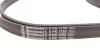 Комплект пасу поліклинового Citroen Berlingo/Peug Contitech 6PK1750K1 (фото 3)