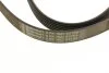 Поликлиновой ремень (Пр-во ContiTech) 6PK1822EXTRA Contitech 6PK1822 EXTRA (фото 4)