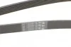 Поликлиновой ремень FORD MONDEO IV 2.0 TDCi 03/10-01/15 (Пр-во) C.I.U Contitech 6PK1845 (фото 3)