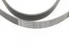 Поликлиновой ремень FORD MONDEO IV 2.0 TDCi 03/10-01/15 (Пр-во) C.I.U Contitech 6PK1845 (фото 4)