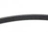 Ремень поликлиновой DAEWOO Nubira 1.6 16V (Пр-во ContiTech) Contitech 6PK1880 (фото 2)