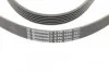 Ремень поликлиновой DAEWOO Nubira 1.6 16V (Пр-во ContiTech) Contitech 6PK1880 (фото 4)