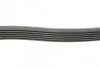Ремінь полікліновий (Вир-во ContiTech) Contitech 6PK1915 (фото 2)