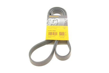 Ремінь генератора Ford Transit 2.3 16V 00-06 (RWD) CONTINENTAL (opt-om) Contitech 6PK1955