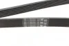 Ремінь полікліновий FORD TOURNEO CONNECT 1.8 16V 06/02-12/13 (Вир-во ContiTech) Contitech 6PK1973 (фото 3)