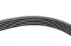 Ремінь полікліновий FORD TOURNEO CONNECT 1.8 16V 06/02-12/13 (Вир-во ContiTech) Contitech 6PK1973 (фото 4)
