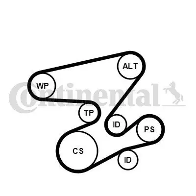 Комплект (ремінь+ролики+помпа) Contitech 6PK2080WP2 (фото 1)