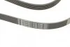 Ремень поликлиновой (Пр-во ContiTech) Contitech 6PK2100 (фото 3)