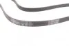 Ремень поликлиновой (Пр-во ContiTech) Contitech 6PK2120 (фото 2)