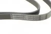 Ремень поликлиновой BMW X6 (F16, F86) xDrive 30 d 02/15- (Пр-во ContiTech) Contitech 6PK2145 (фото 4)