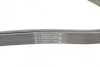 Ремінь генератора MB C-class (W203) 00-08 CONTINENTAL UA63 Contitech 6PK2190 (фото 3)
