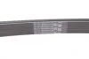 Ремінь генератора MB W124/W164 CONTINENTAL UA63 Contitech 6PK2360 (фото 3)