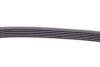 Ремінь генератора MB W124/W164 CONTINENTAL UA63 Contitech 6PK2360 (фото 4)
