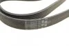 Ремінь полікліновий MERCEDES-BENZ S-CLASS (W220) S 350 06/03-08/05 (Вир-во ContiTech) Contitech 6PK2380 (фото 3)