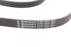 Ремінь полікліновий MERCEDES-BENZ S-CLASS (W221) S 350 10/05-12/13 (Вир-во ContiTech) Contitech 6PK2404 (фото 3)