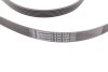 Ремінь полікліновий Contitech 6PK2498 (фото 3)