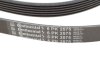 Поліклиновий ремінь Contitech 6PK2575 (фото 4)