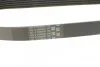Ремінь генератора MB Sprinter 3.0CDI 07- (AC) CONTINENTAL 6PK691 ELAST UA63 Contitech 6PK691ELAST (фото 3)