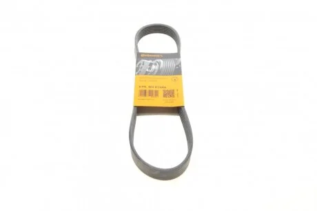 Ремінь поліклиновий Contitech 6PK802EXTRA