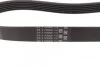 Ремінь полікліновий (Вир-во ContiTech) 6PK831ELAST Contitech 6PK831 ELAST (фото 2)