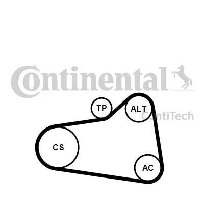 Комплект поліклинового ременя Contitech 6PK905 EXTRA K1 (фото 1)