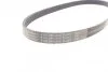 Поликлиновой ремень (Пр-во) 6PK989ELAST Contitech 6PK989 ELAST (фото 2)