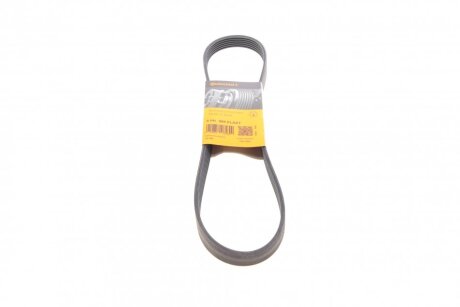 Полікліновий ремінь Contitech 6PK989 ELAST