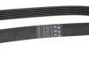 Ремінь поліклиновий C.I.U Contitech 7PK1051 ELAST (фото 2)