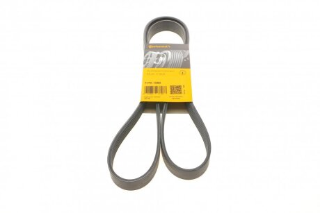 Ремінь поліклиновий BMW, RENAULT TRUCKS, ROVER -ua Contitech 7PK1580