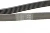 Ремінь генератора Nissan Terrano/Patrol 3.0 DTi 00-/Honda Accord/Civic 2.0/2.2 01- (opt-om) Contitech 7PK1642 (фото 4)