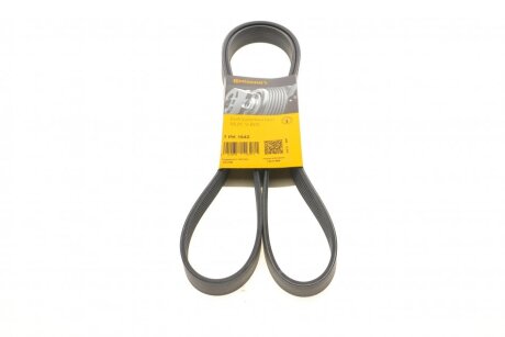 Ремінь генератора Nissan Terrano/Patrol 3.0 DTi 00-/Honda Accord/Civic 2.0/2.2 01- (opt-om) Contitech 7PK1642