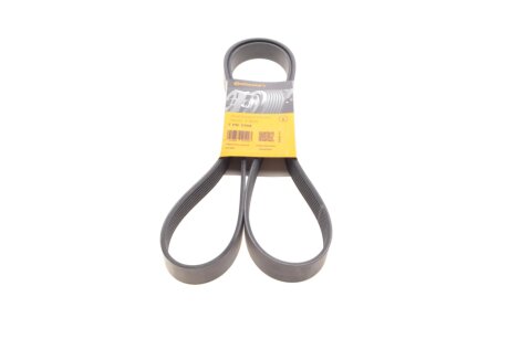 Ремінь полікліновий NISSAN MURANO II (Z51) 3.5 Contitech 7PK1705