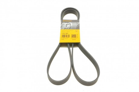 Полікліновий ремінь C.I.U Contitech 7PK1801