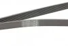 Поликлиновой ремень LEXUS RX 350 01/06-12/08 (Пр-во) Contitech 7PK2090 (фото 3)
