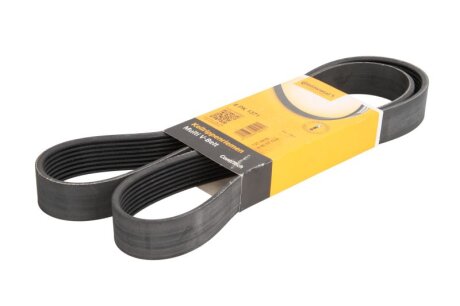 Поліклиновий ремінь C.I.U Contitech 8PK1371