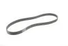 Ремінь генератора BMW 3 (F30/F80)/5 (F10)/ X5 (F15/F85)/ X6 (F16/F86) 13- (S55) CONTINENTAL UA63 Contitech 8PK1395 (фото 2)