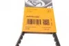 Ремінь генератора Iveco/VW/Opel/Fiat/Renault/Peugeot/BMW/Audi CONTINENTAL (opt-om) Contitech AVX10X1025 (фото 5)