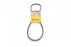 Ремінь генератора MB 207D 2.4D 82-90 CONTINENTAL (opt-om) Contitech AVX10X960 (фото 1)