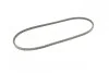 Ремінь генератора VW T4 1.9D/TD 90-03/Toyota Corolla/Land Cruiser 1.6i/2.4D 82-90 CONTINENTAL UA63 Contitech AVX10X975 (фото 4)