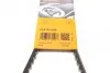 Ремінь генератора Toyota Hilux/Land Cruiser 2.4D 88-02/Ford Sierra 2.8 87-88 CONTINENTAL UA63 Contitech AVX13X1200 (фото 6)