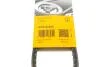 Ремінь генератора Hyundai Accent 00-10/Kia Cerato/Rio 1.4-1.6 04- CONTINENTAL UA63 Contitech AVX13X670 (фото 6)