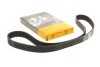 Ремінь зубчастий ГРМ (Вир-во ContiTech) Contitech CT1034
