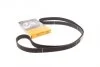 Ремінь зубчастий ГРМ (Вир-во ContiTech) Contitech CT1058