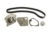 Комплект ГРМ + помпа Nissan Primera 1.9dCi 02-/Renault Scenic/Megane 1.9dCi 03-(26x133z) UA63 Contitech CT1064WP2 (фото 2)