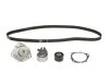 Водяний насос + комплект ременя ГРМ FIAT 500 1.6 D Multijet 09/12 (Вир-во) C.I.U Contitech CT1155WP1 (фото 2)