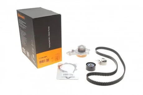 Комплект ГРМ + помпа Citroen C3/C4/Berlingo/Jumpy/Peugeot 2008/Expert/Partner 1.6 HDi 08- (20x1 UA63 Contitech CT1203WP1