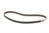 Роликовый модуль натяжителя ремня (ролик, ремень, насос) VW, SEAT 1.4/94-01 Contitech CT846WP3 (фото 4)